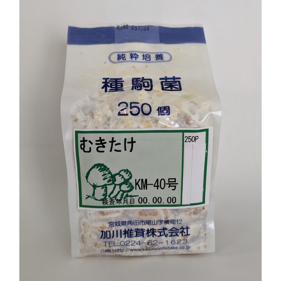 【キノコ予約】　むきたけ種駒　２５０Ｐ　【申込期限：２月２２日】