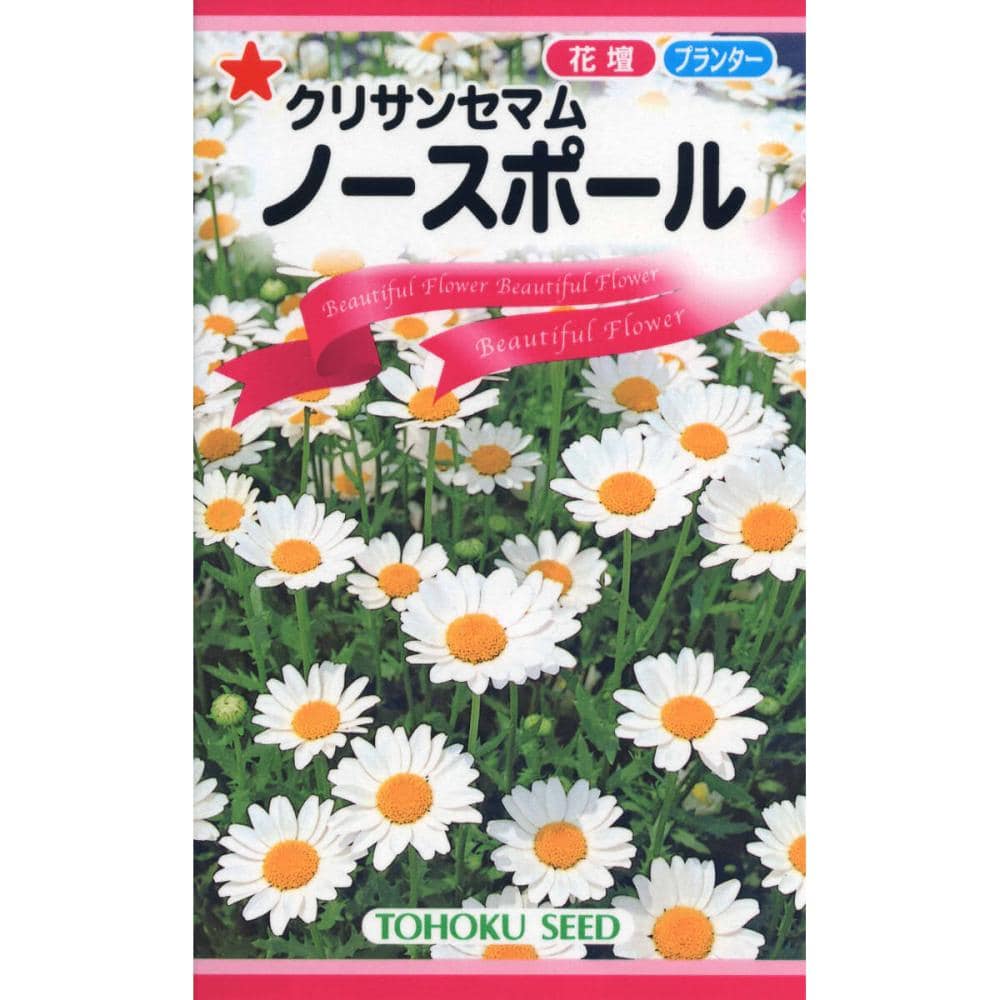 ノースポール
