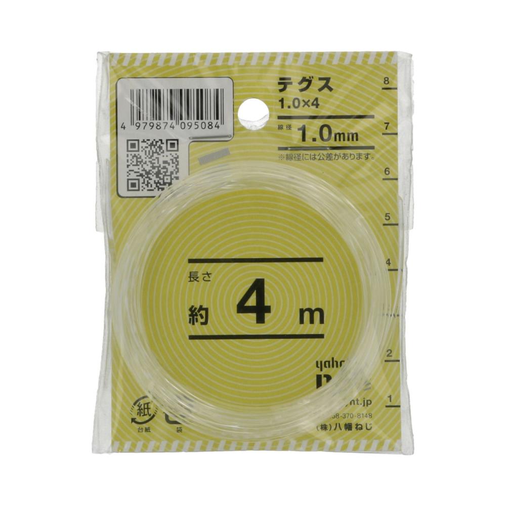 テグス10x4