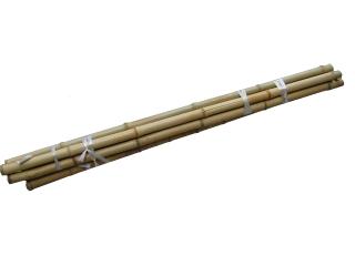 白竹　約１５０ｃｍ