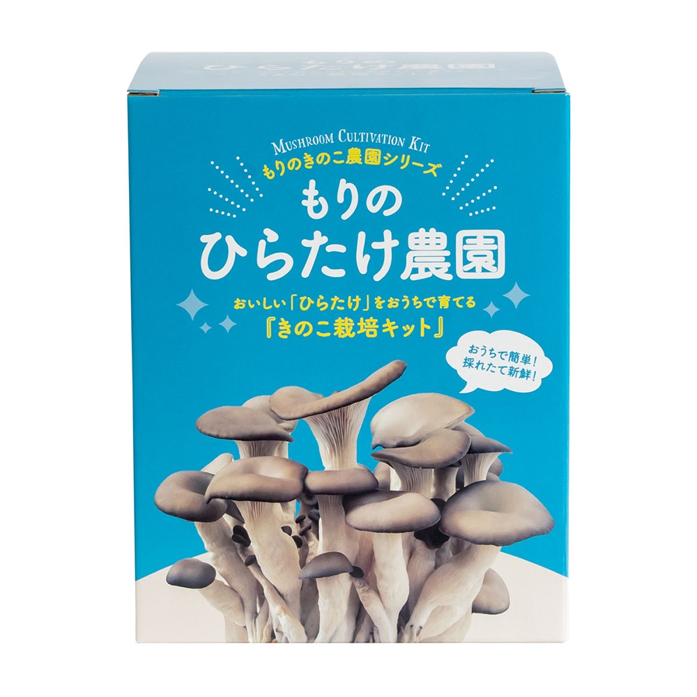 【キノコ予約】　もりのひらたけ農園　８００Ｐ　【申込期限：２月２２日】