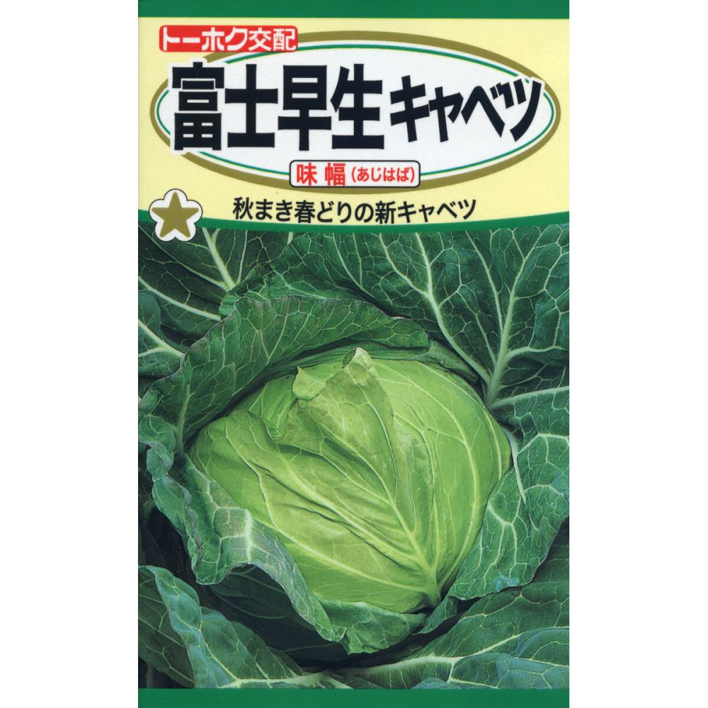 Ｆ１　富士早生キャベツ　　味幅