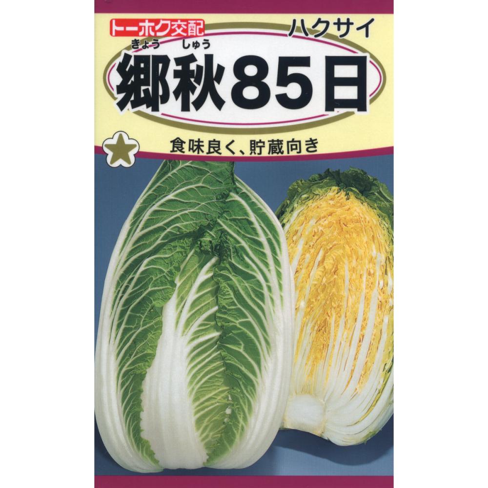 白菜 ハクサイ 【ムーンビーチ】 種 タネ SEED ※海外持ち出し禁止 ハクサイ種子 畑で長持ち黄芯白菜ちよぶき70 の通販
