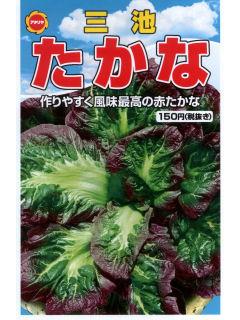 三池高菜