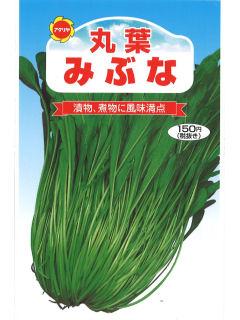 丸葉みぶ菜