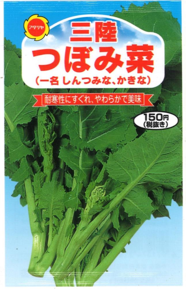 ナバナ　つぼみ菜