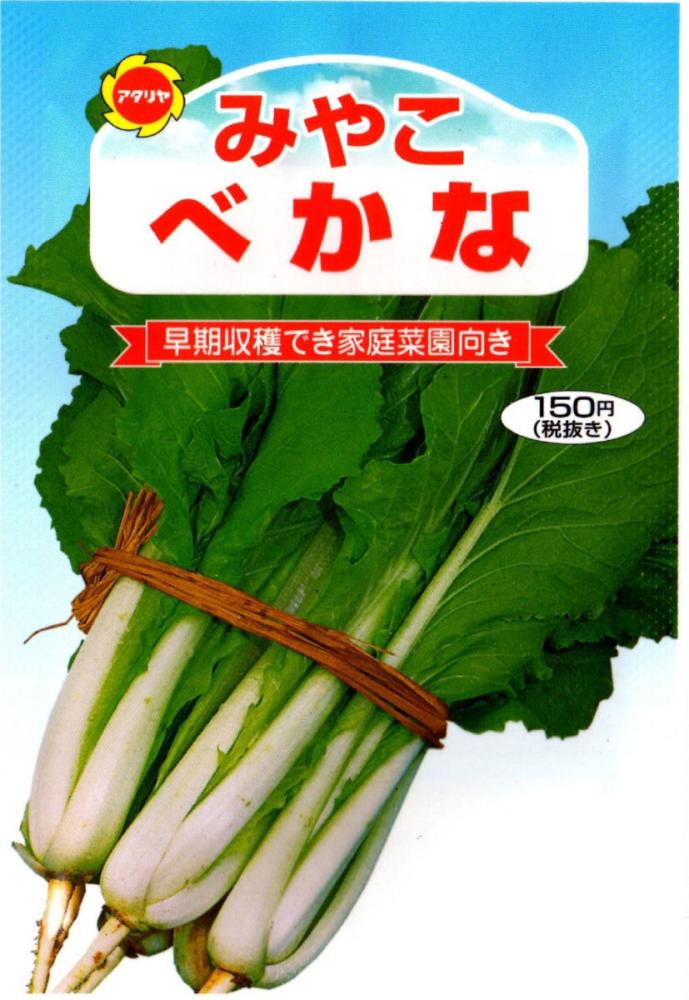 菜類 みやこべかな