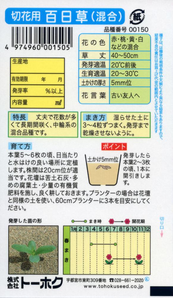 ヒャクニチソウ種子　百日草（混合）