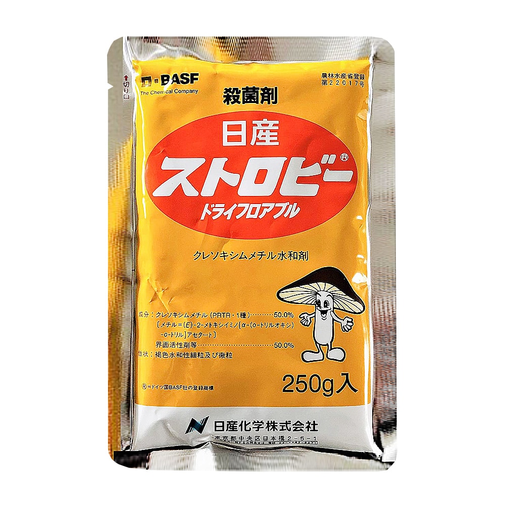 ストロビードライフロアブル　２５０ｇ