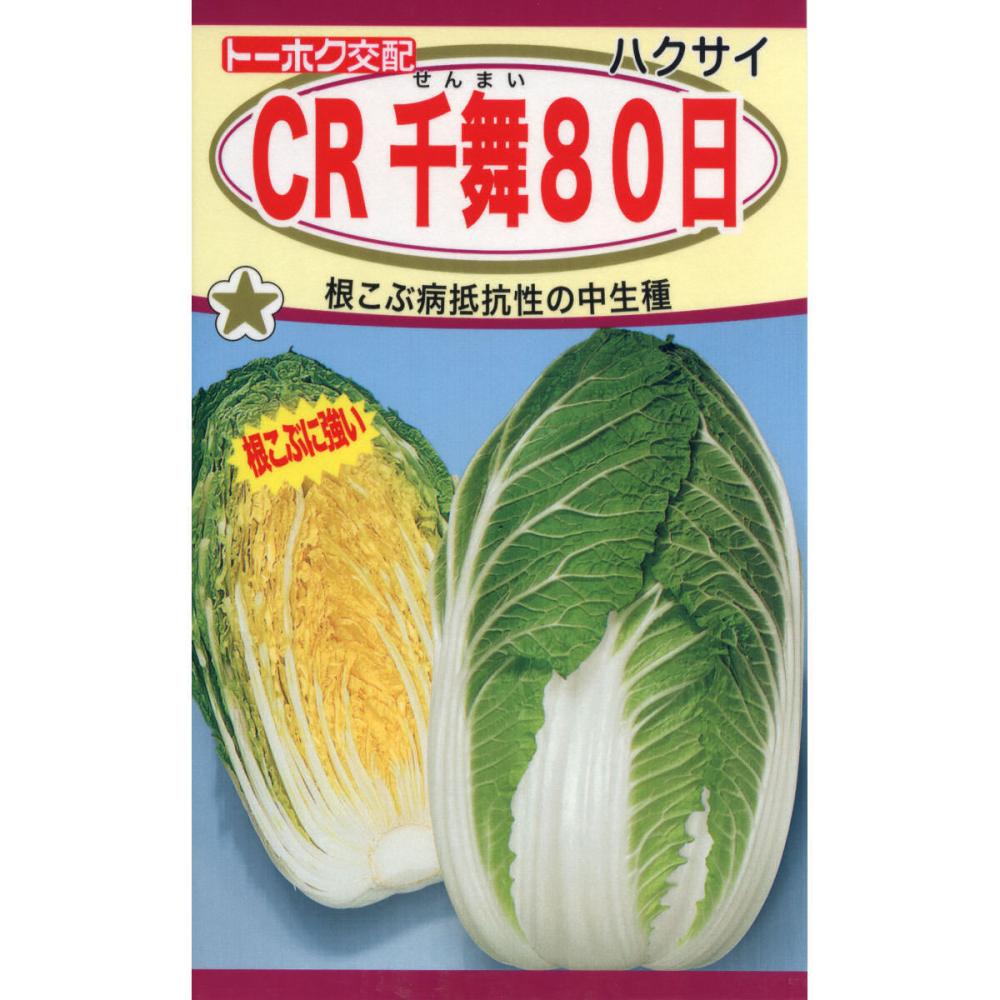 Ｆ１　ＣＲ　　千舞８０日