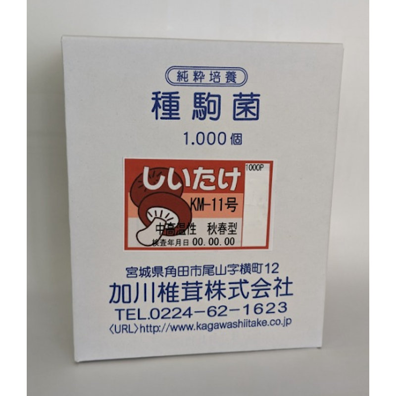 【キノコ予約】　椎茸　種駒　　ＫＭ－１１号　中高温性・周年型　１０００駒　　【申込期限：２月２５日】