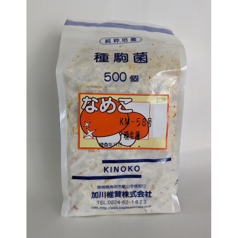 【キノコ予約】　なめこ種駒　ＫＭ－５８号　晩生種　５００Ｐ　【申込期限：２月２２日】