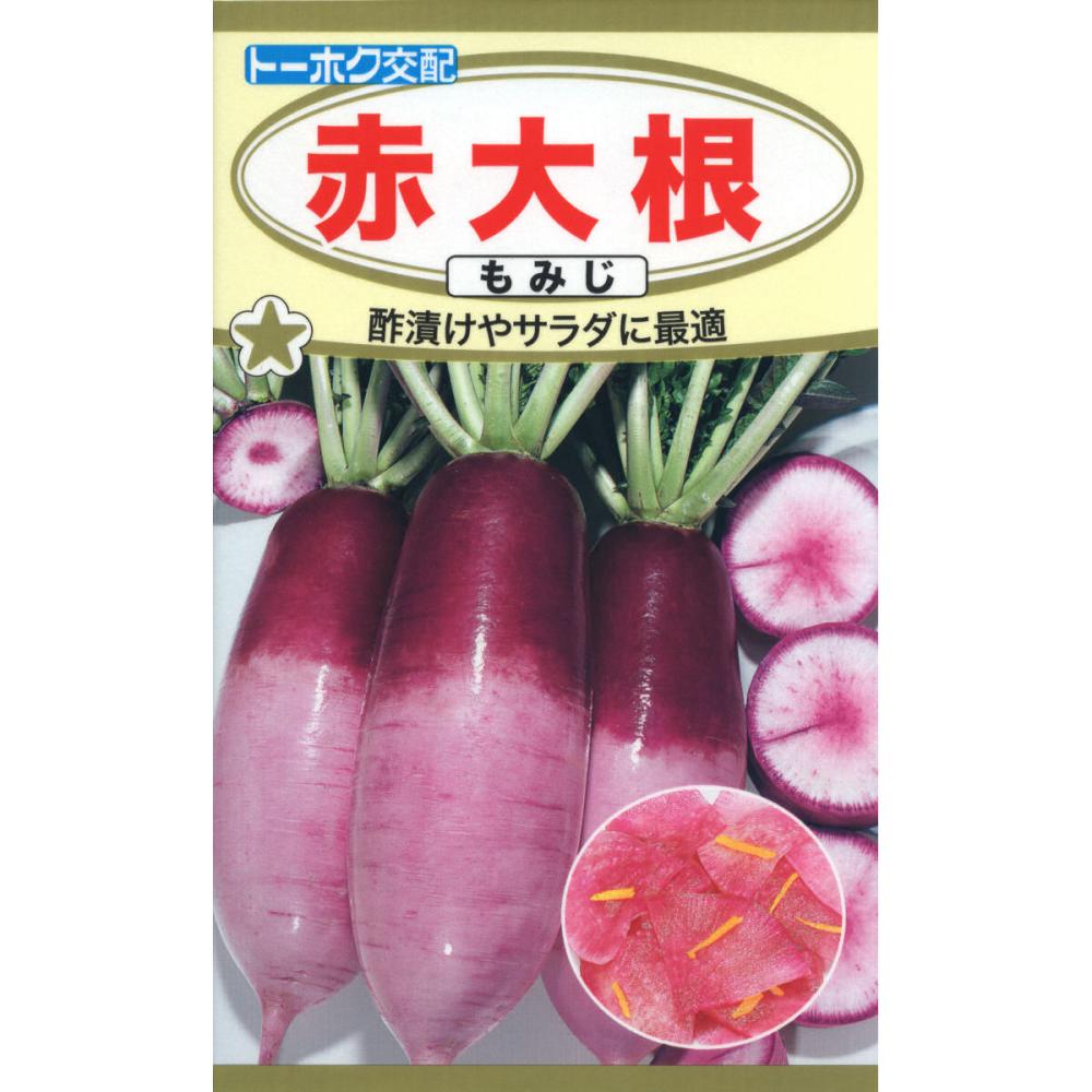 Ｆ１　赤大根　もみじ