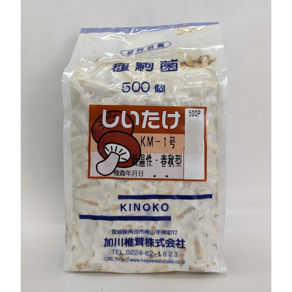 【キノコ予約】　椎茸種駒　ＫＭ－１号　低温性・春秋型　５００Ｐ　【申込期限：２月２２日】