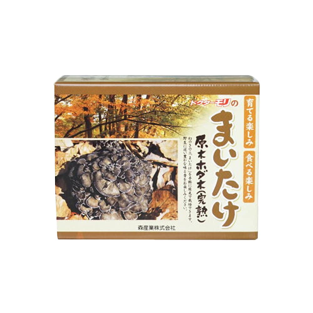 【キノコ予約】　まいたけ短木　１０００Ｐ　【申込期限：２月２２日】