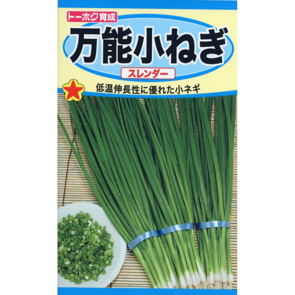 Ｔｈ　万能小ねぎ　スレンダー