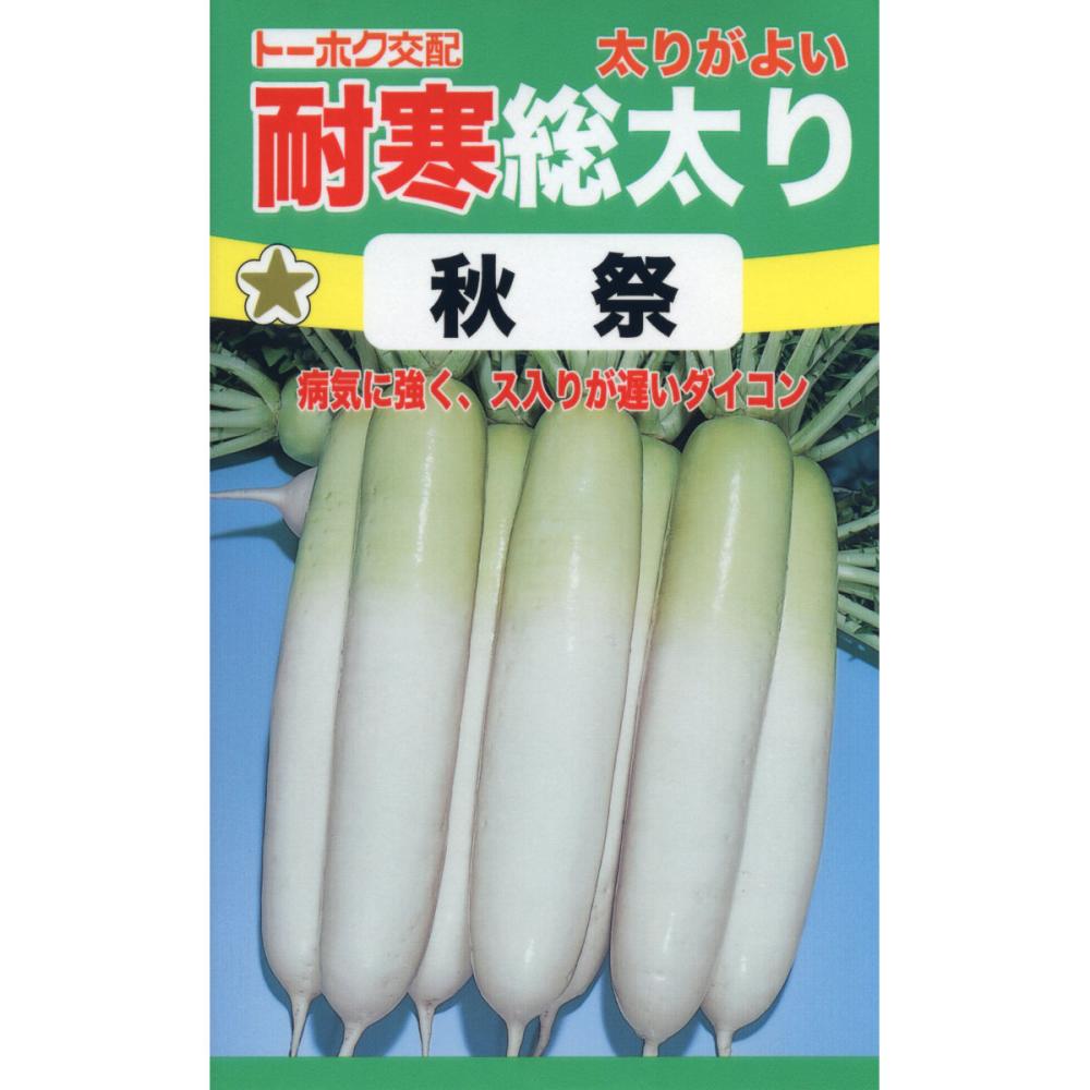 Ｆ１　青首大根　秋祭