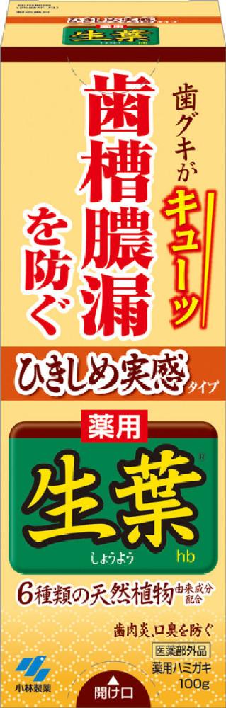 小林製薬　ひきしめ生葉　１００ｇ