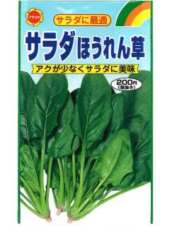 サラダほうれん草