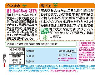 コスモス種子　コスモス畑　センセーション混合　徳用