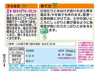 ヒマワリ種子　切花向ひまわり　サンリッチオレンジ　徳用