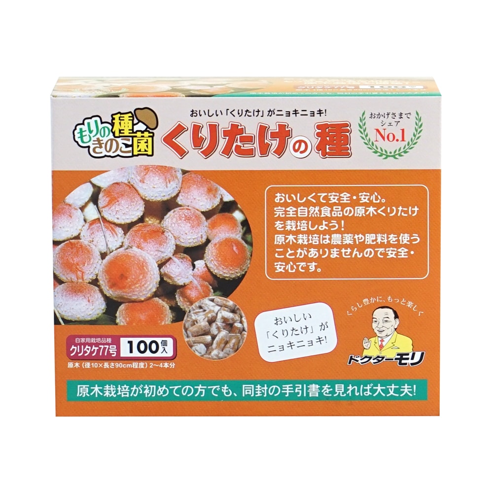 【キノコ予約】　くりたけ種駒　７７号　１００Ｐ　【申込期限：２月２２日】