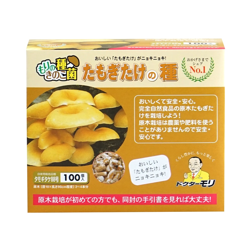 【キノコ予約】　たもぎたけ種駒　８８号　１００Ｐ　【申込期限：２月２２日】