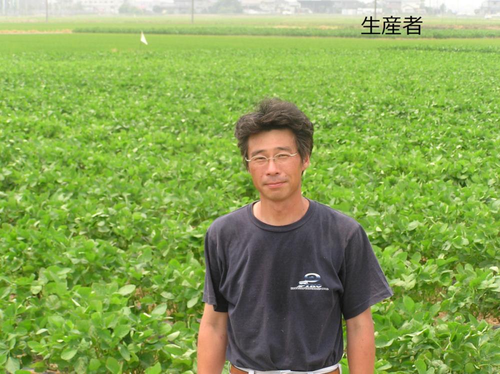 新潟県新潟市産　布川農園の朝採りくろさき茶豆　約１．８ｋｇ（３００ｇ×６袋）【注文期限：8月10日】