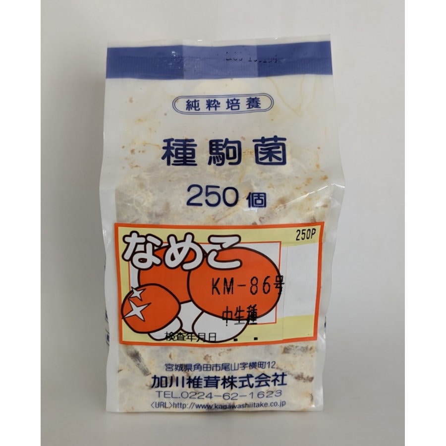 【キノコ予約】　なめこ種駒　ＫＭ－８６号　中生種　２５０Ｐ　【申込期限：２月２２日】