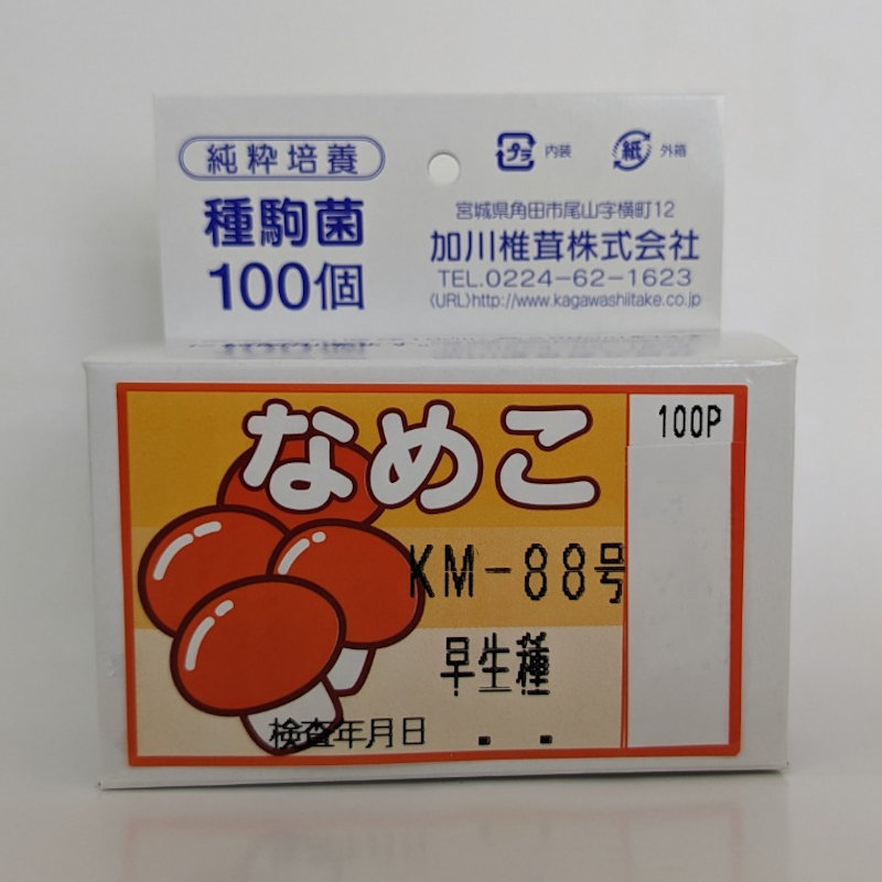 【キノコ予約】　なめこ種駒　ＫＭ－８８号　早生種　１００Ｐ　【申込期限：２月２２日】