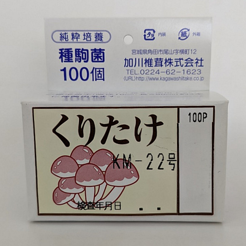 【キノコ予約】　くりたけ種駒　１００Ｐ　【申込期限：２月２２日】