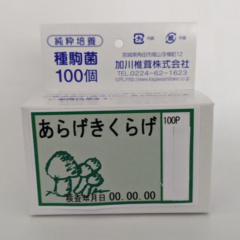 【キノコ予約】　あらげきくらげ種駒　１００Ｐ　【申込期限：２月２２日】