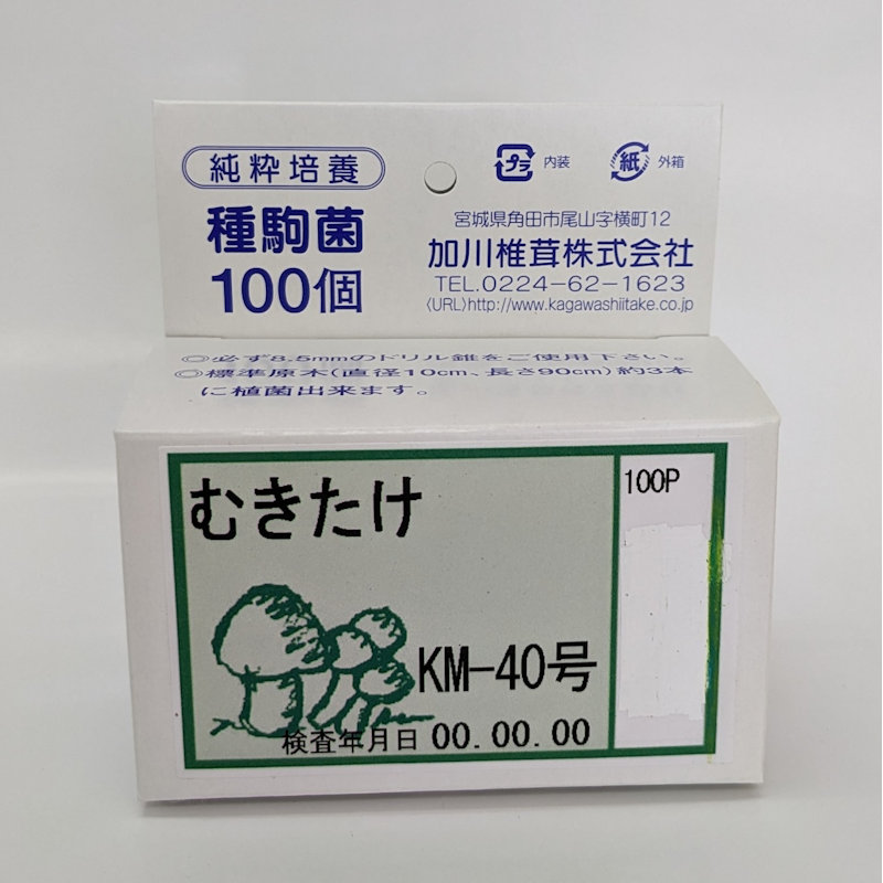 【キノコ予約】　むきたけ種駒　１００Ｐ　【申込期限：２月２２日】
