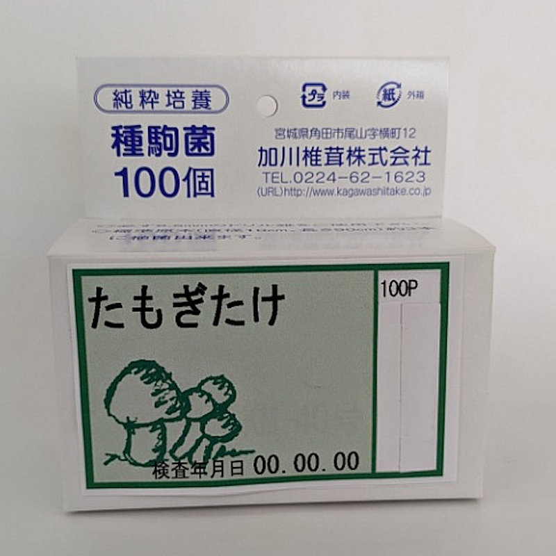 【キノコ予約】　たもぎたけ種駒　１００Ｐ　【申込期限：２月２２日】