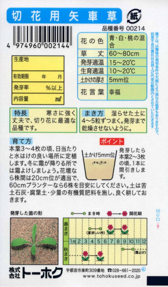 草花種子　切花用八重矢車草