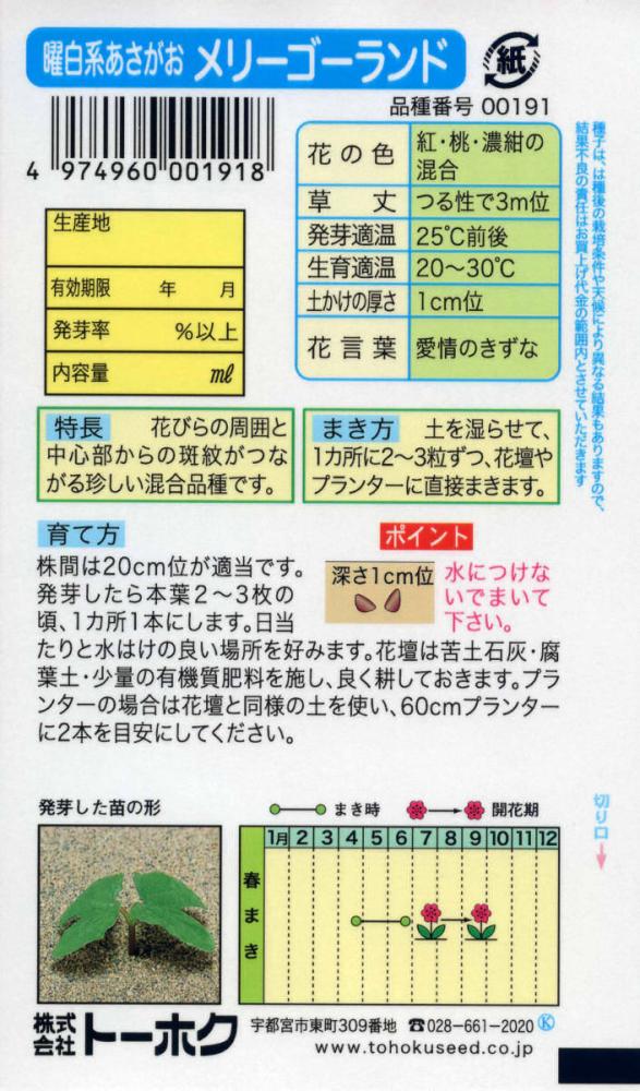 アサガオ種子　曜白系あさがお　メリーゴーランド