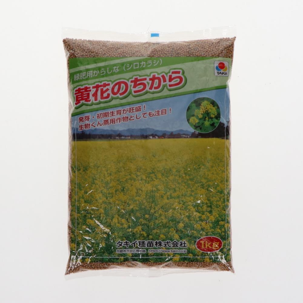 【緑肥種子】　緑肥用からしな　黄花のちから　１ｋｇ　５袋