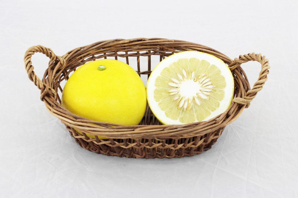 高知県産　四万十文旦　家庭用Ｌサイズ　約５ｋｇ（１２～１３玉入）【注文期限２０２６年３月３１日】