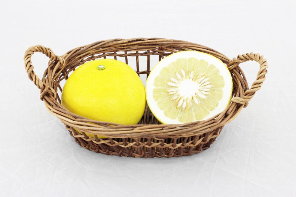 高知県産　四万十文旦　家庭用Ｌサイズ　約１０ｋｇ（２４～２５玉入）【注文期限２０２６年３月３１日】