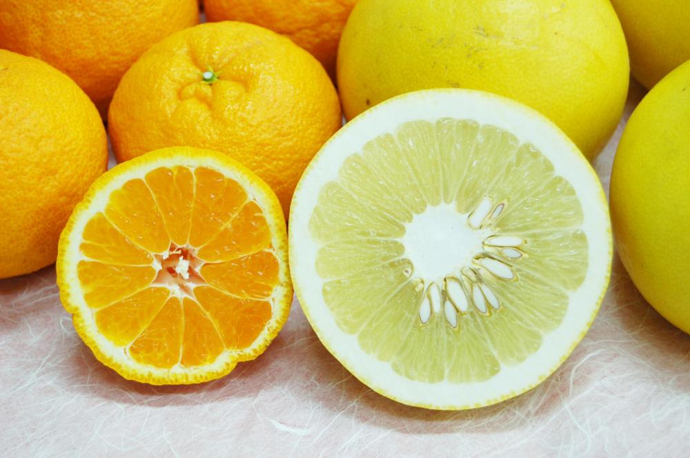 高知県産　四万十デコ・四万十文旦　詰合せ（家庭用）　約５ｋｇ【注文期限２０２６年３月３１日】