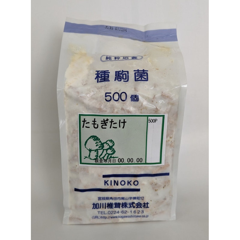 【キノコ予約】　たもぎたけ種駒　５００Ｐ　【申込期限：２月２２日】