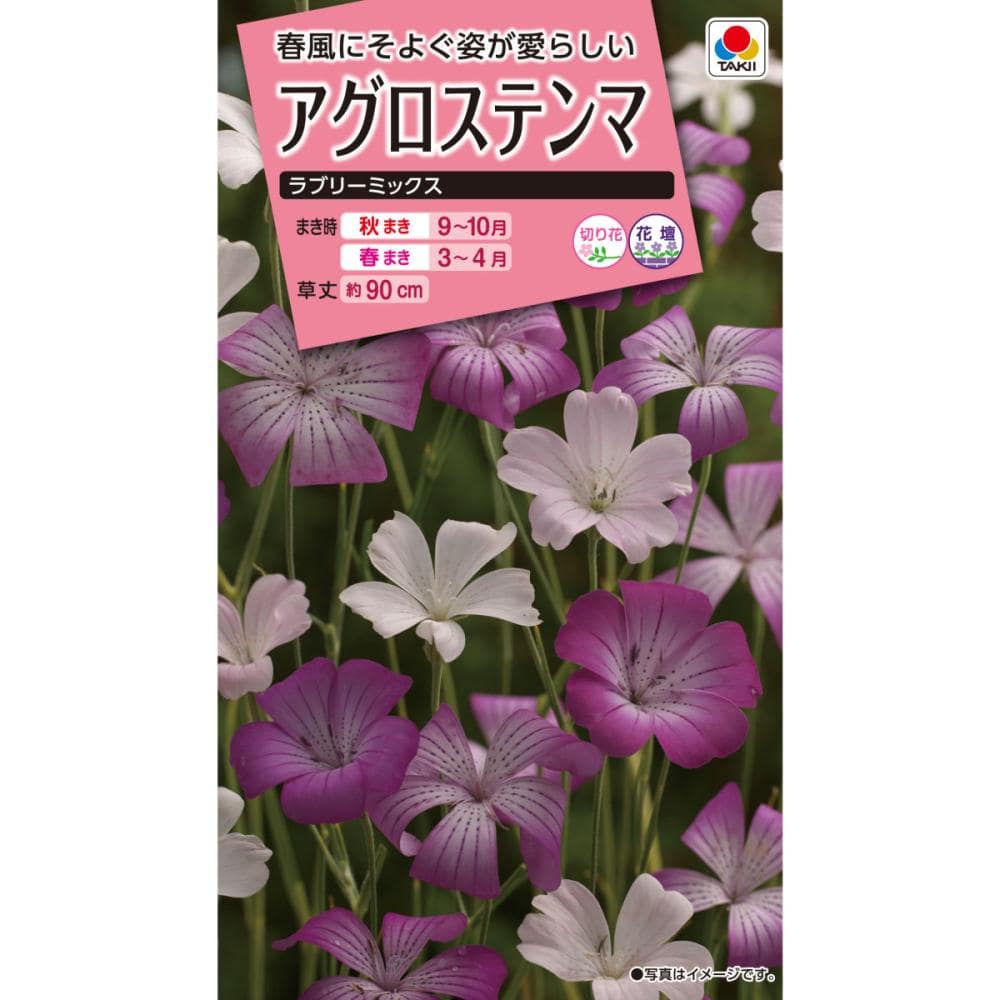 アグロステンマ　ラブリーミックス