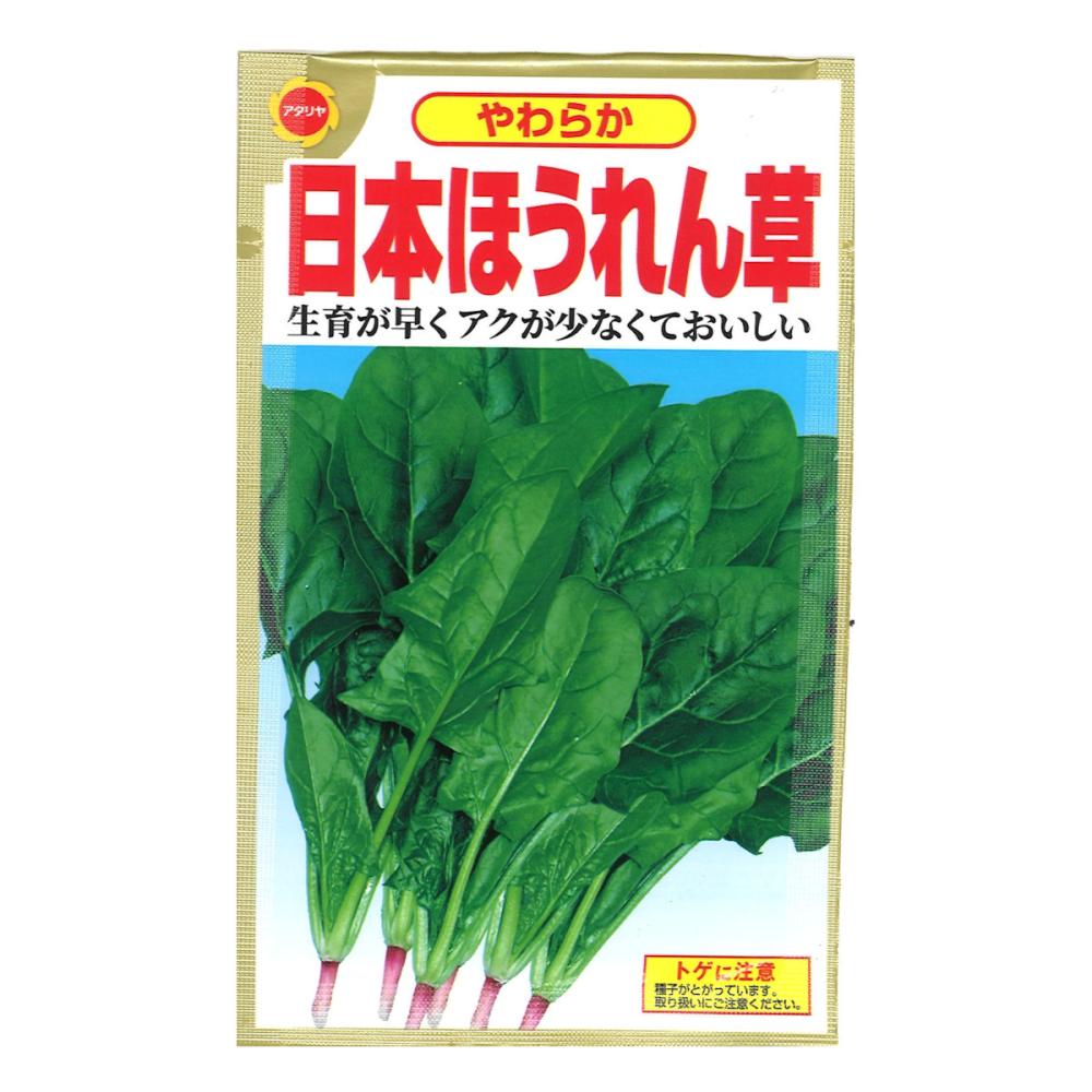 ほうれんそう出品 楽天市場】ほうれん草 【夏どりほうれん草】 種・小袋 （15ml