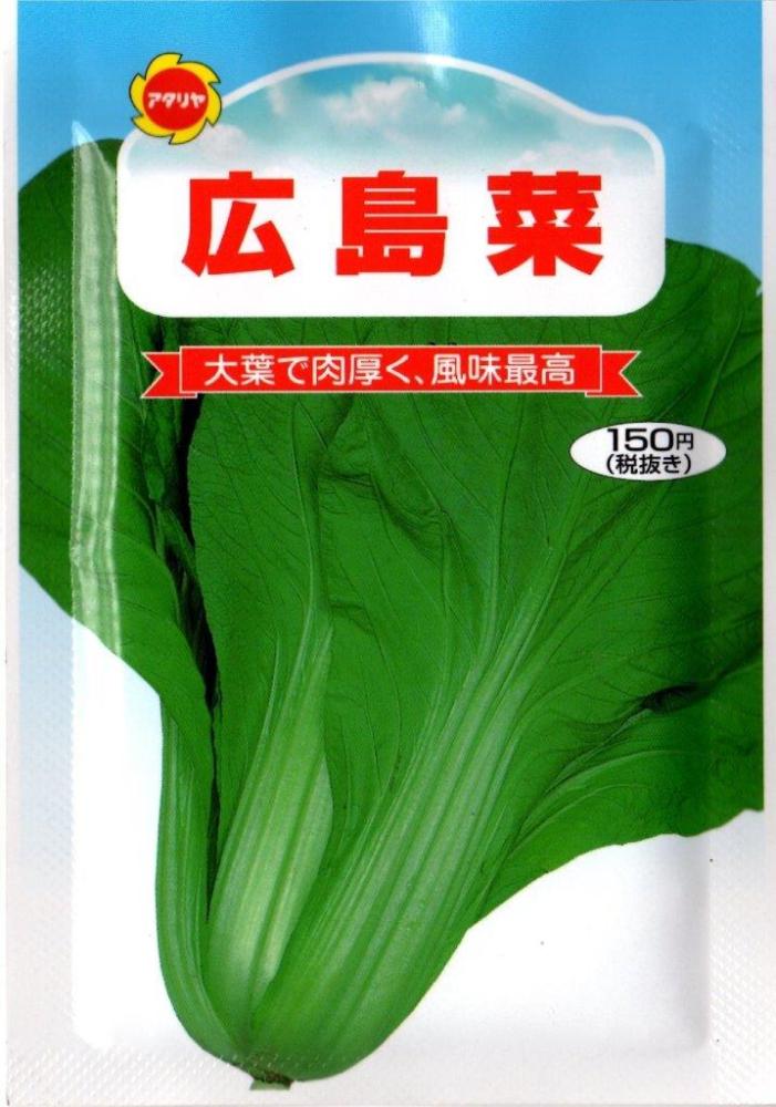 ツケナ　広島菜