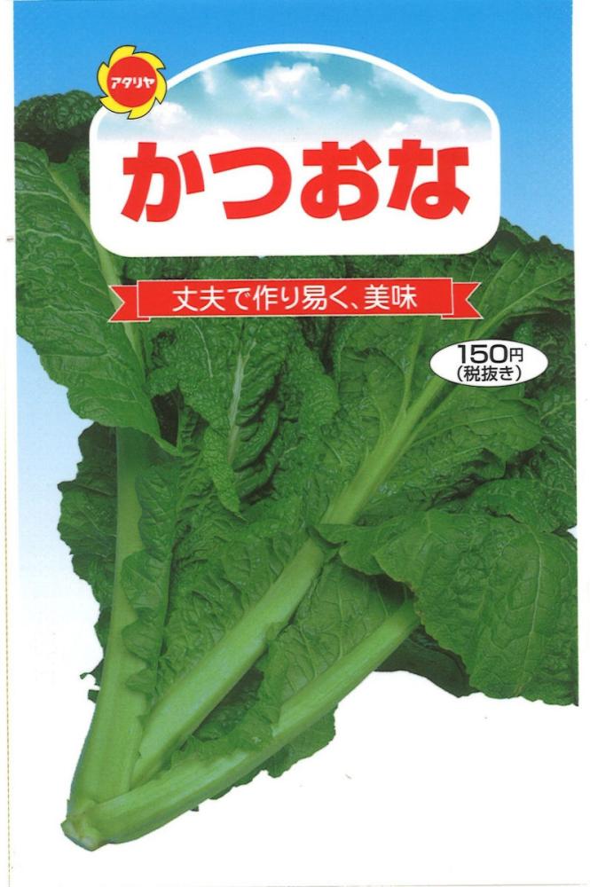 タカナ　かつおな