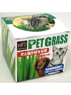 犬と猫が好きな草　栽培セット