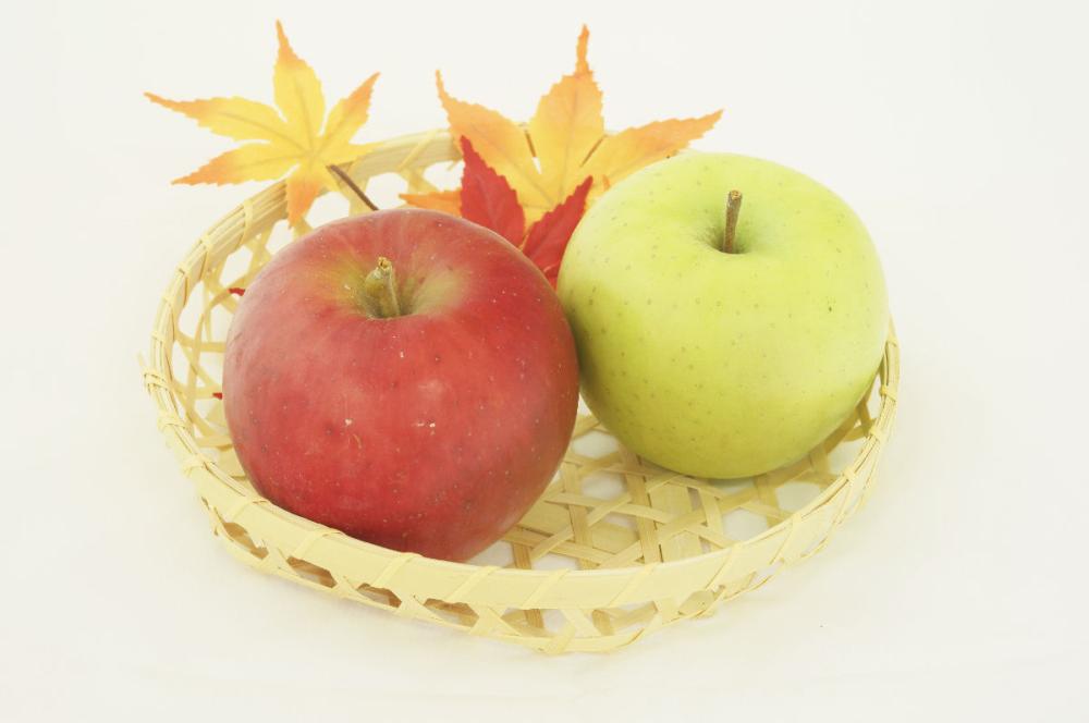 岩手県花巻市石鳥谷産　サンふじりんご＆王林　約９．０ｋｇ　贈答用　（２６玉前後入）【注文期限：2025年12月20日】