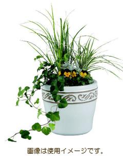 化粧鉢　パリス　ミッドハイ　ホワイト　３２×３０