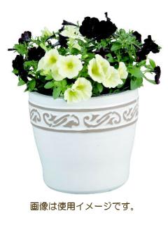 化粧鉢　パリス　ミッドハイ　ホワイト　２５×２３