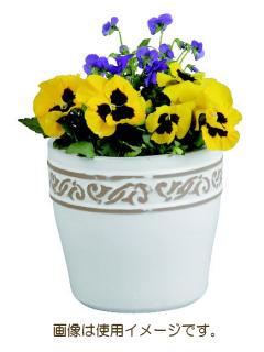 化粧鉢　パリス　ミッドハイ　ホワイト　１９×１８